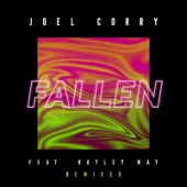 Fallen (feat. Hayley May) [Remixes] - EP artwork
