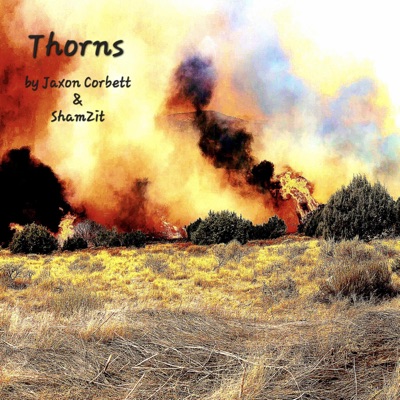 Thorns (feat. ShamZit) - Single