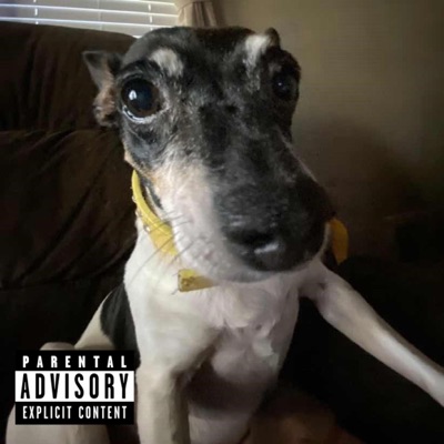 I'm Coming (feat. Bo Bo Da Goat) - Single