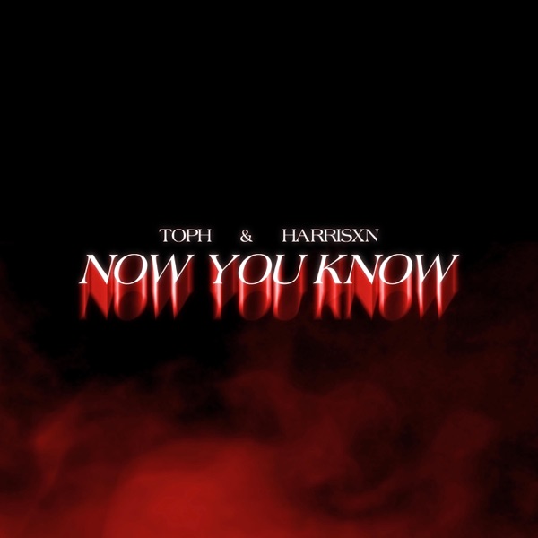 Now You Know (feat. Harrisxn)