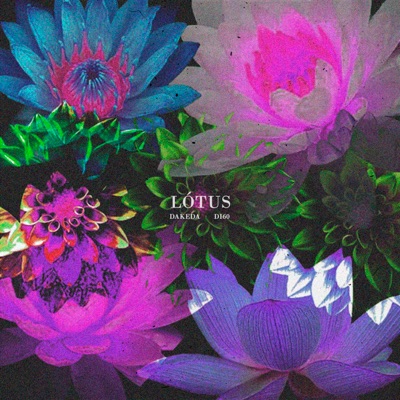Lótus - Single