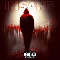 Insane - Single - steen