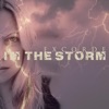 I'm The Storm