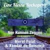 Nee Kunnen Zeggen (feat. Meral Polat & Xander de Buisonjé) - Single