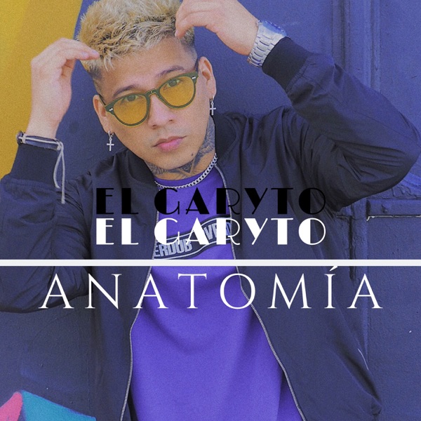 Anatomía