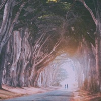 Falling Like the Leaves - Single - Laeland & Thomas Reid