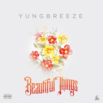 Beautiful Things - Single