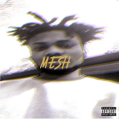 Mesh Vol. 1