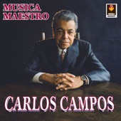 Música Maestro artwork