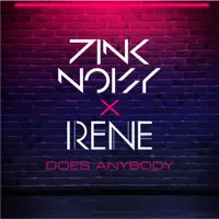 Does Anybody (feat. Irene) — Pink Noisy