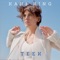 Teek - Kaki King lyrics
