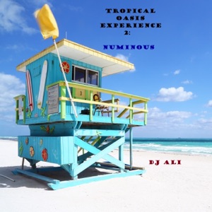 Tropical Oasis Experience 2: Numinous
