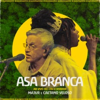 Asa Branca (342 Amazônia ao Vivo no Circo Voador) - Single - Majur & Caetano Veloso
