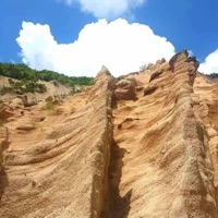 Musicals Knock-Out (Deluxe Edition) - Arte Fiorente Resistente