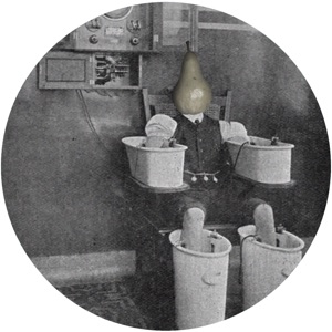 Back to the Underground - Single