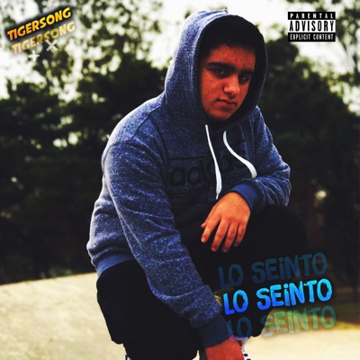 Lo Siento - Single