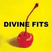 Divine Fits - Would That Not Be Nice?