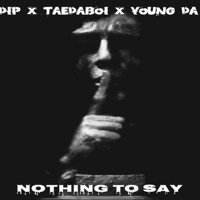 Nothing to Say (feat. TaeDaBoi & Young DA) - Single - Dibly Picasso