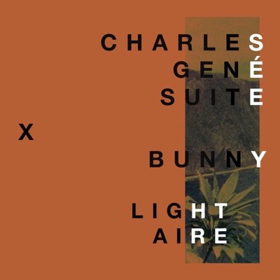 Light Aire (feat. Bunny Majaja) - Single