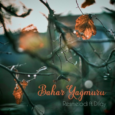 Bahar Yağmuru (feat. Dilay) - Single