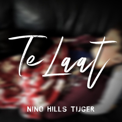 Te Laat (Over) [feat. Tijger] - Single
