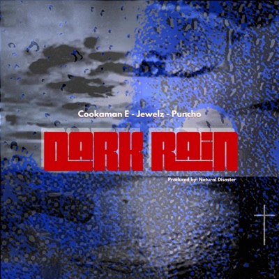 Dark Rain (feat. Jewelz & Puncho) - Single