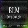 BLM (feat. Papi FNS) - Single