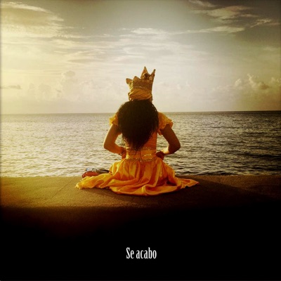 Se Acabo - Single