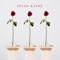 Tres Rosas - Seven Kayne lyrics