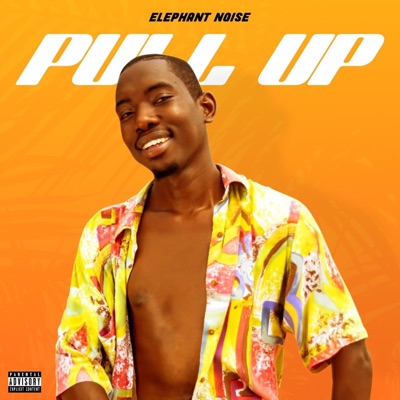 Pull Up - Single