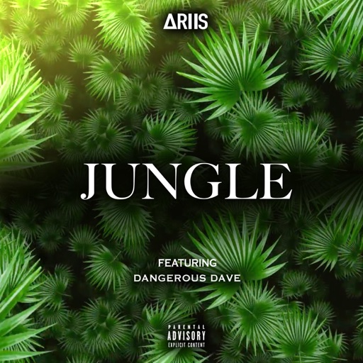 Jungle by ARIIS & Dangerous Dave