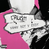 crush - Single - XanaX Boy & exdy.