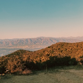 Alive (feat. Lunai) Synova