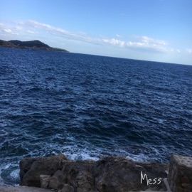 Mess (feat. Aaron Everything) Uwmami