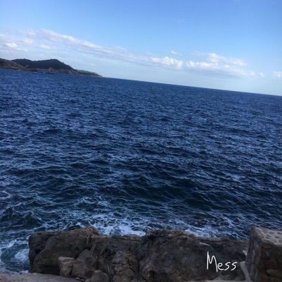 Mess (feat. Aaron Everything) - Single