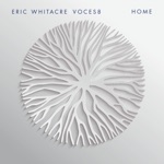 VOCES8, Eric Whitacre & Christopher Glynn - Sing Gently