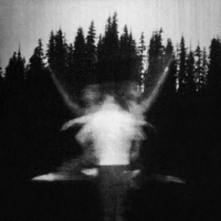 Hiding Nature - Offthesky