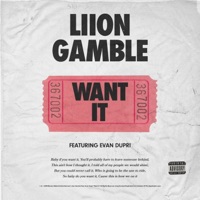 Want It (feat. Evan Dupri) - Single - Liion Gamble