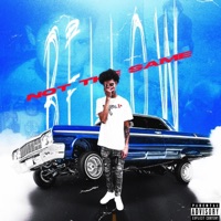 Not the Same - Bellow