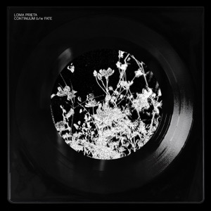 Continuum B/W Fate - Single