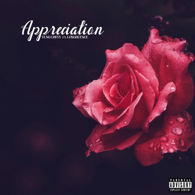 Appreciation - Single