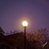 Sunset - EP
