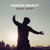Black Velvet (feat. Menahan Street Band) - Charles Bradley