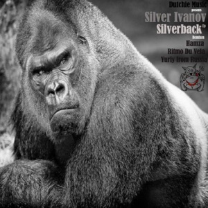 Silverback