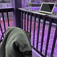 Purpose - Single - SickoGypsy