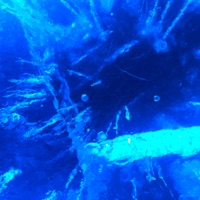 Невесомость - Single - HOOD BOY