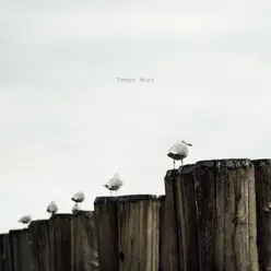 Temps Mort - Single - Temps Mort