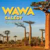 Wawa Salegy - Tsy Vita Mora