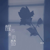 醒不来的梦 song art