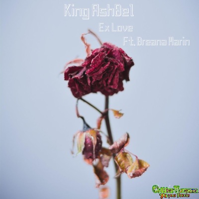 Ex Love (feat. Breana Marin) - Single